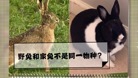 6b9713e3087488f1c7f795fa9775c55f8c189a91.jpg@280w_158h_1c_100q.jpg