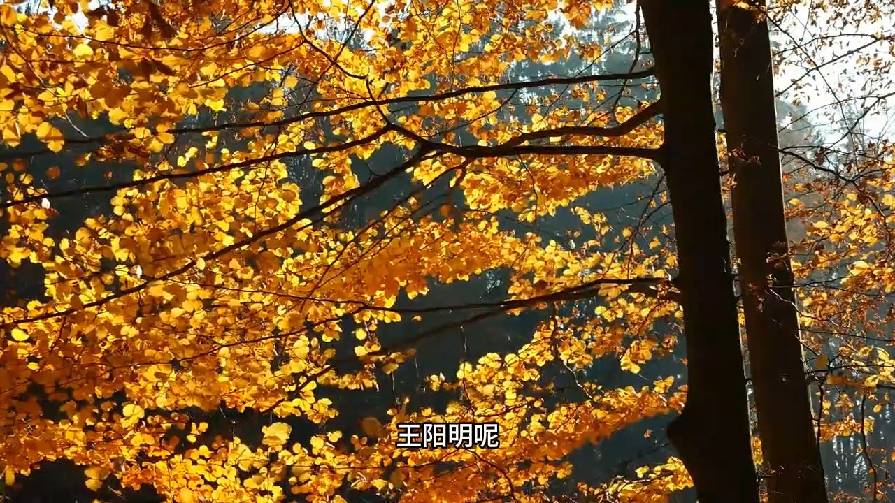 怎样才能在生活中体验到本自具足呢？如果你想要的迟迟没有得到，那就要注意了！