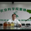世界蜜蜂日丨和农科院专家一起 认识下你所不了解的“甜蜜”世界