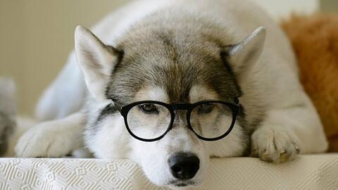 6bbb0631fc35035f6a6b95a5922f36157bc40804.jpg@480w_270h_1c