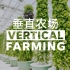未来的有机农业- 垂直食物农场