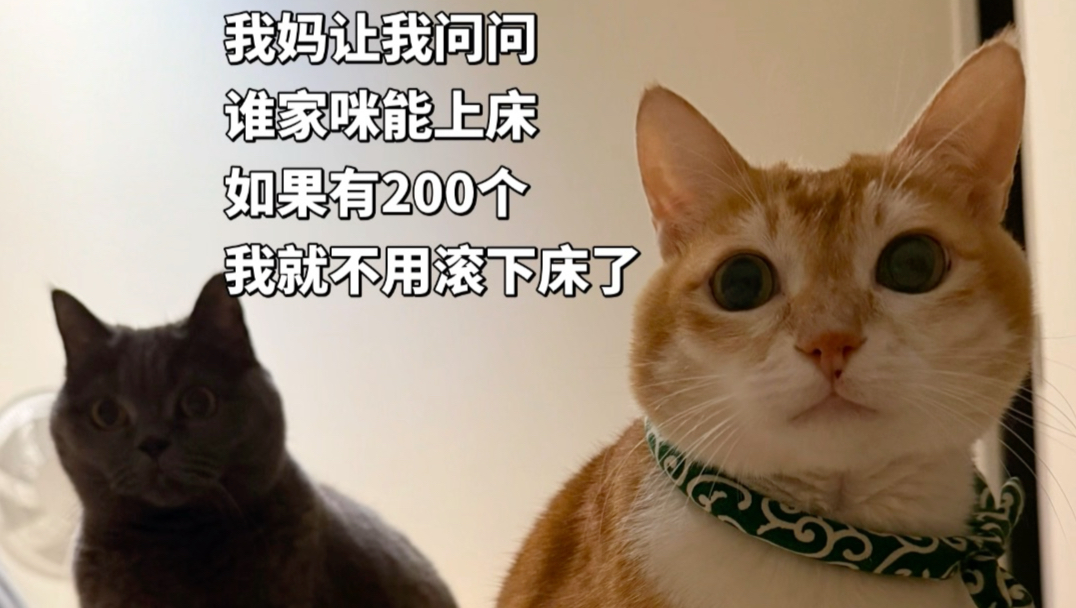 人 咪有个问题想问