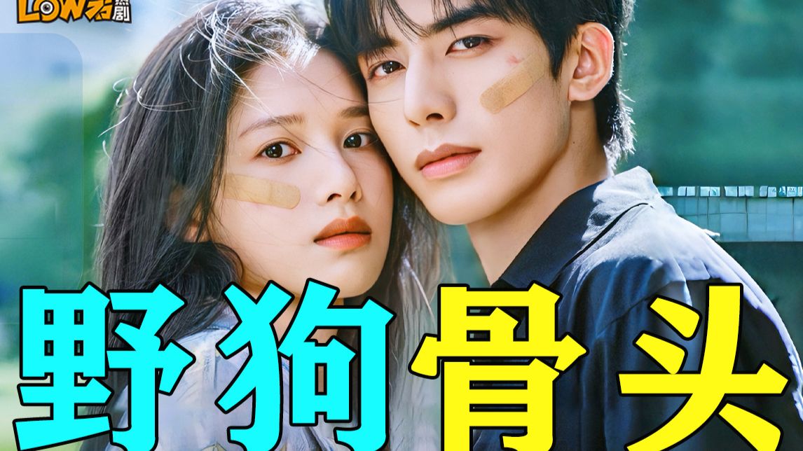 双向救赎！破镜重圆！设定很新鲜的一部剧《野狗骨头》！
