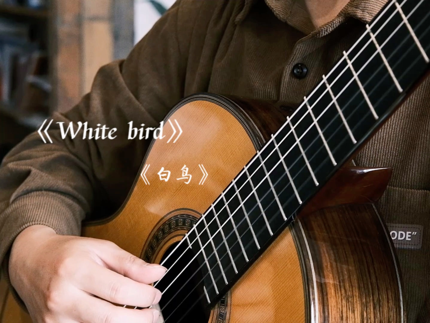 古典吉他优美小品《白鸟》