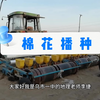 地理老师带你看棉花播种