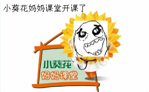 叉烧鱼队长口袋妖怪时空的战歌第四弹小菊花妈妈课堂开课啦