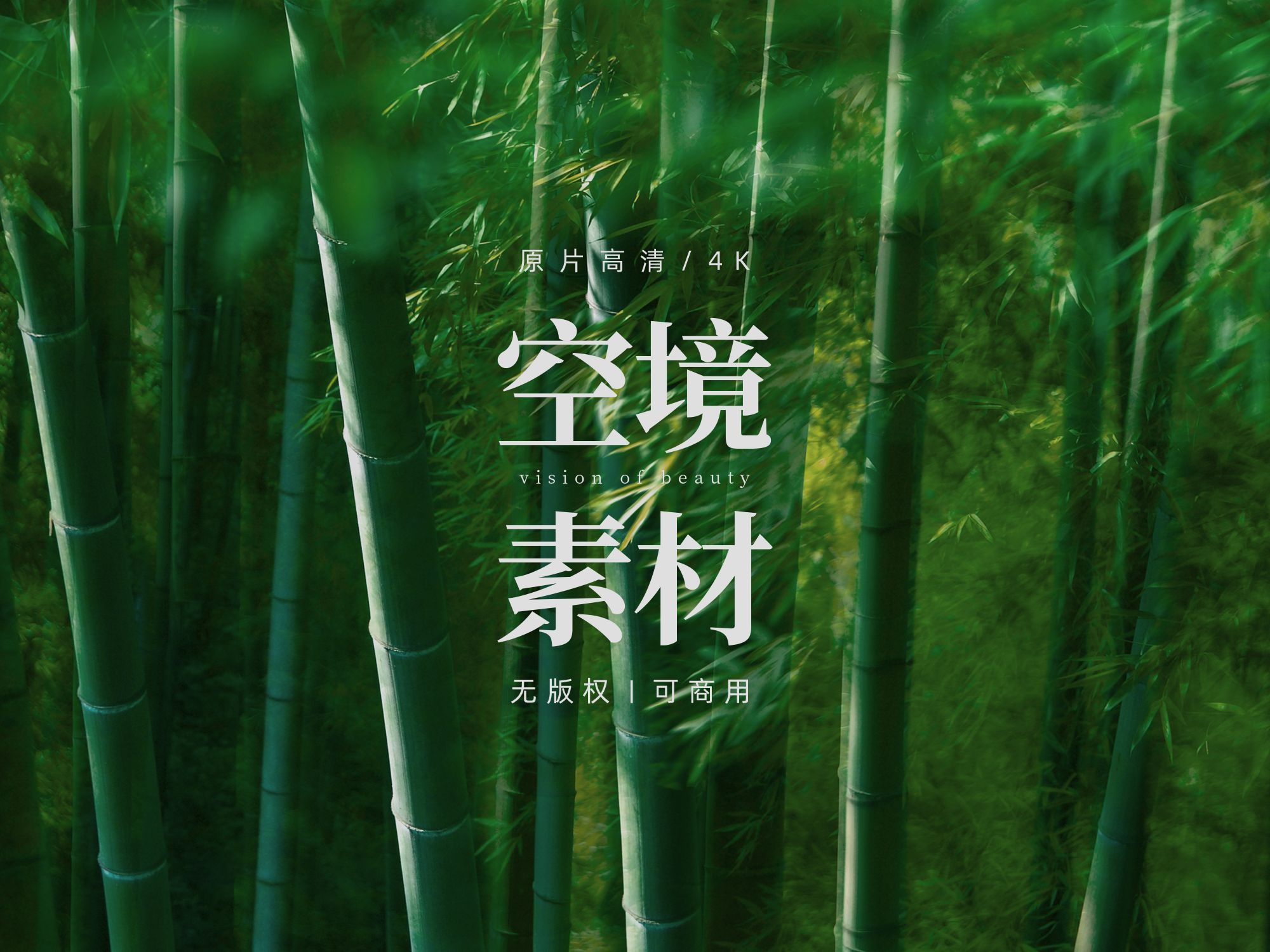 【无版权空镜】Fluttering bamboo