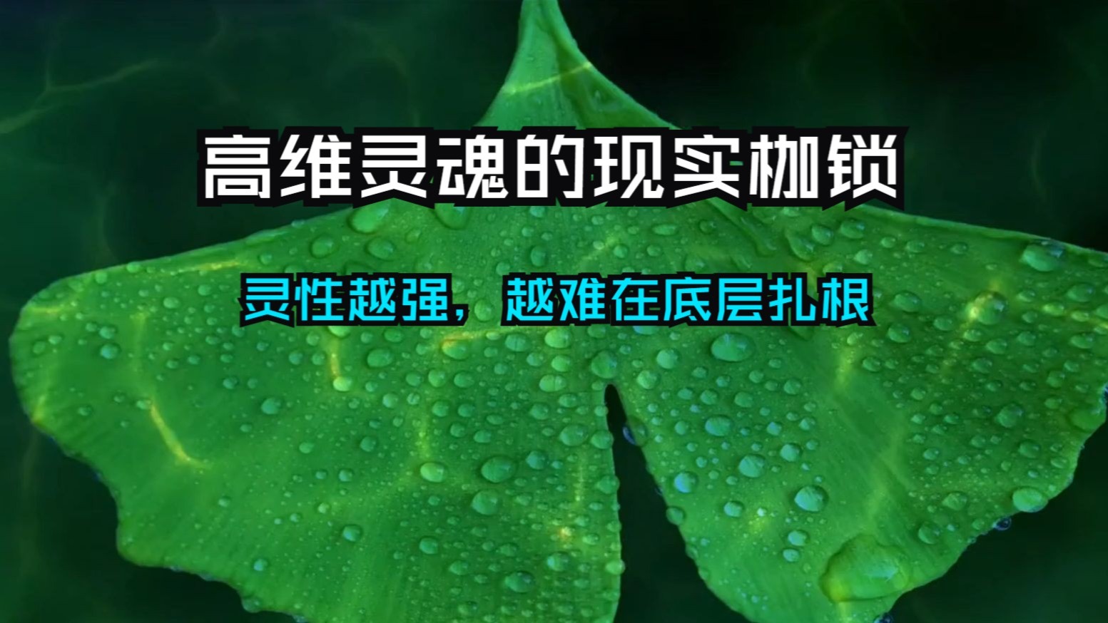 高维灵魂的现实枷锁：灵性越强，越难在底层扎根——这是宇宙的召唤信号！