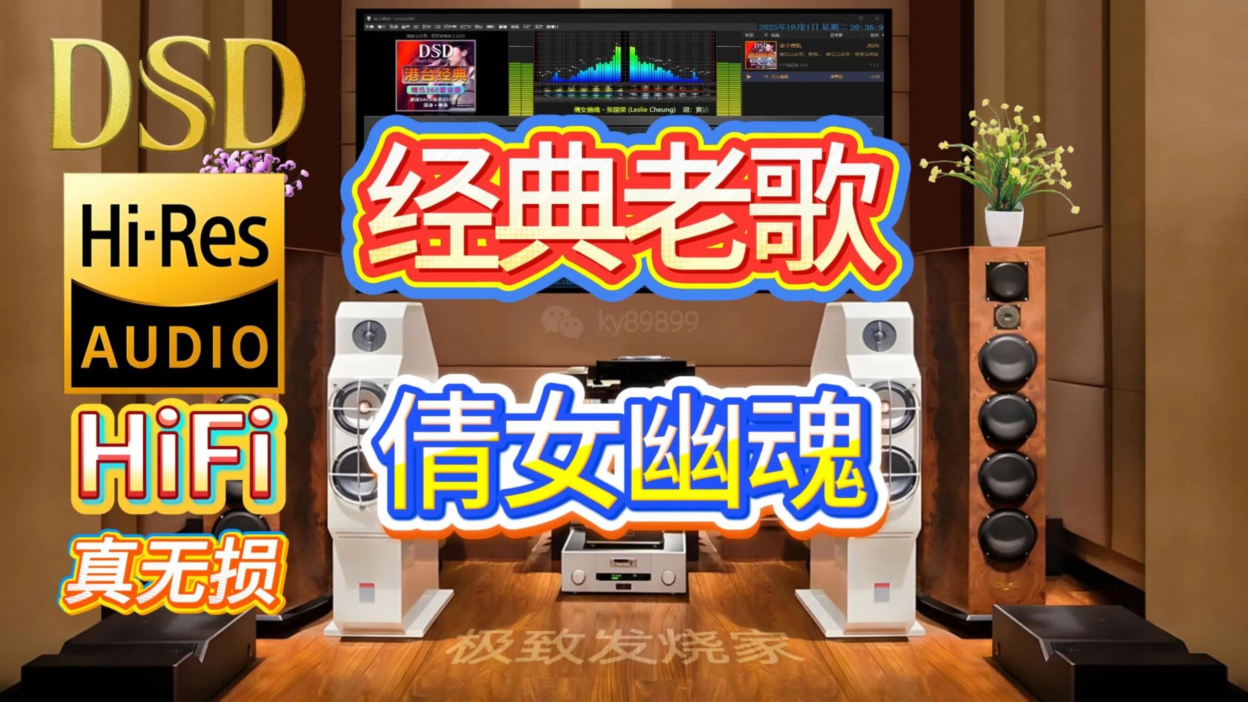 DSD无损音质，港台经典音乐《 倩女幽魂》，给你不一样的听觉