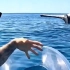 海中露出条一动不动的鲸鱼尾巴，这是在干嘛？