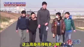 6c5a9fd61854214ce71b8544adc431c47a6371c1.jpg@280w_158h_1c_100q.jpg