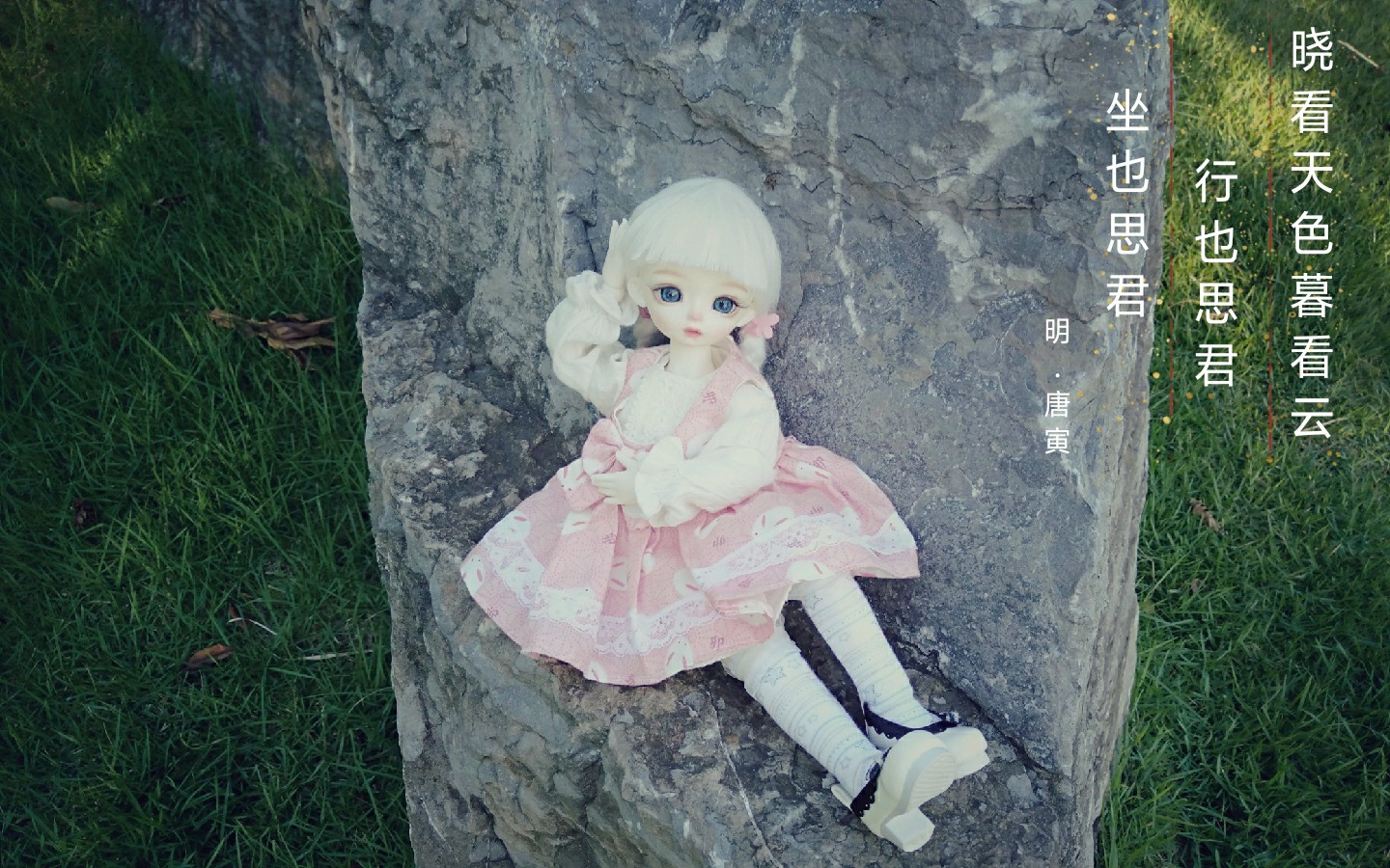 Wow, #Hui is so charming. We... - Ringdoll Ball Jointed Dolls