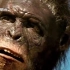拯救人类如是说 第54期：南方古猿的演化