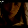 【第10放映室】风华绝代——香港八九十年代女星列传（三