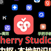 Cherry Studio V1.0.0 联网搜索功能介绍补充