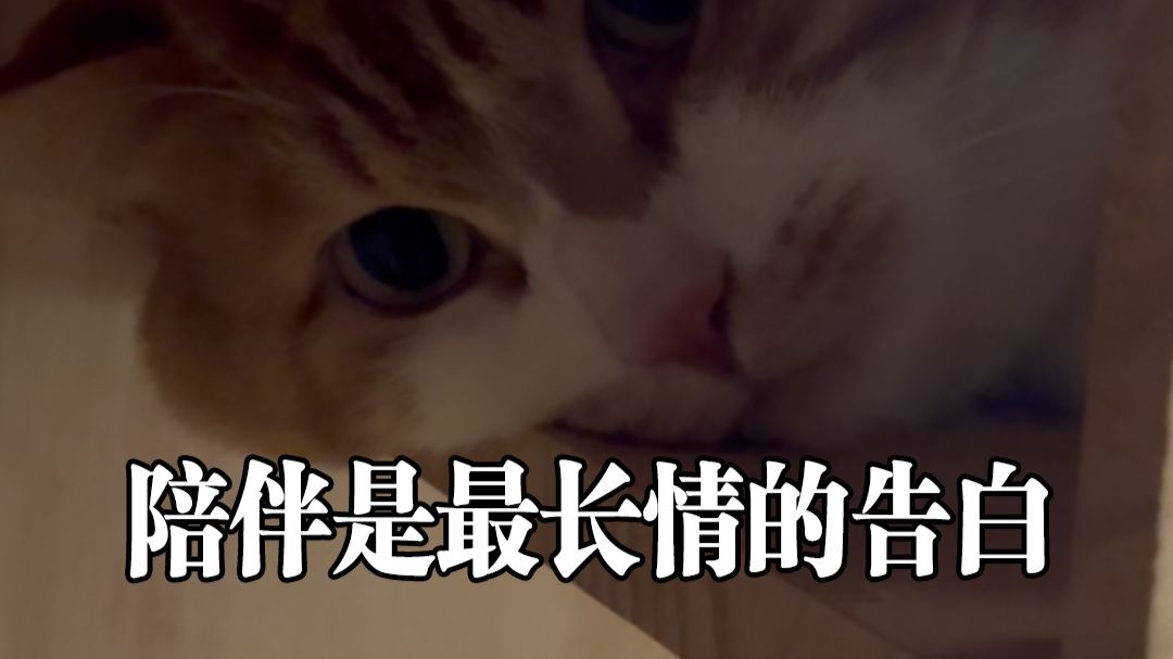 很多网友说咪咪抑郁了......