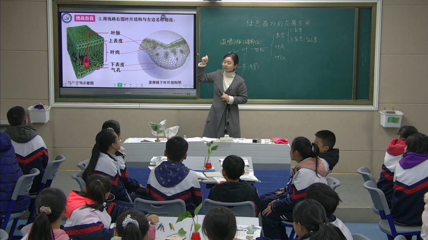 【省级优质课】人教版初中生物七年级上册《《绿色植物与生物圈的水循环》【一等奖】》新课标获奖公开课（希沃课件+教学设计）