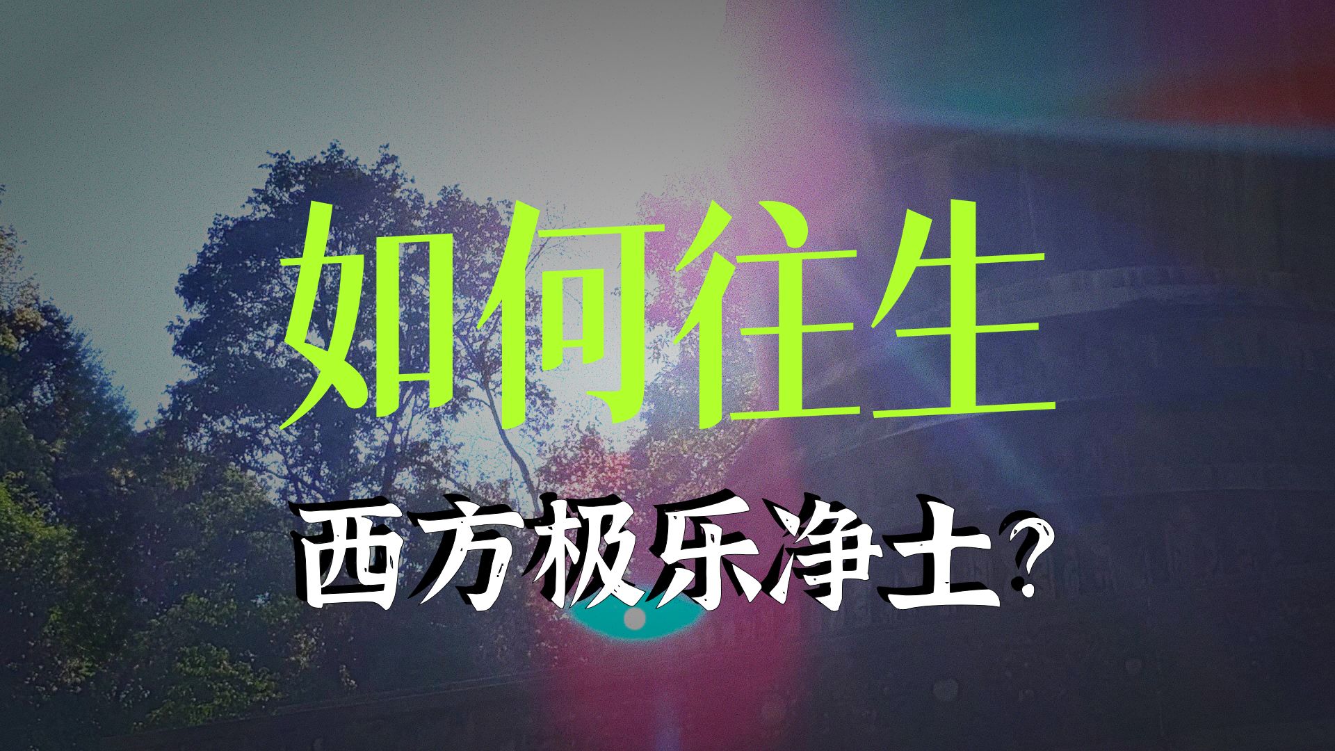 体佛法师开示：善根 福德 因缘