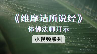 V1416 大象不游于兔径，大悟不拘于小节；莫将管见谤苍苍，未了吾始为君决   |  体佛法师