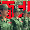 缅北最近到底发生了什么，我在树林里捡到本小说刚好概括