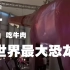 【视障跑者阿俊】Vlog 五一假期吃牛肉 看世界最大恐龙展