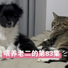 吾家有子初长成