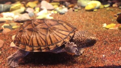 6d190ec0efddb4cee0db0f1fd4cf75c72f426335.jpg@480w_270h_1c