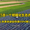如何打造一个规模化的生态农场？看看宁夏这个案例，值得学习