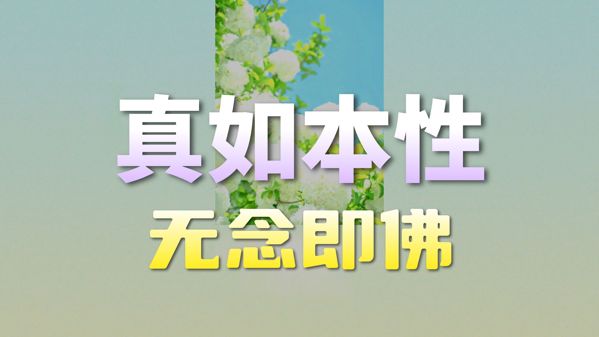 体佛法师开示：无念