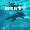 窝在某个角落，静静欣赏北极熊优美的泳姿