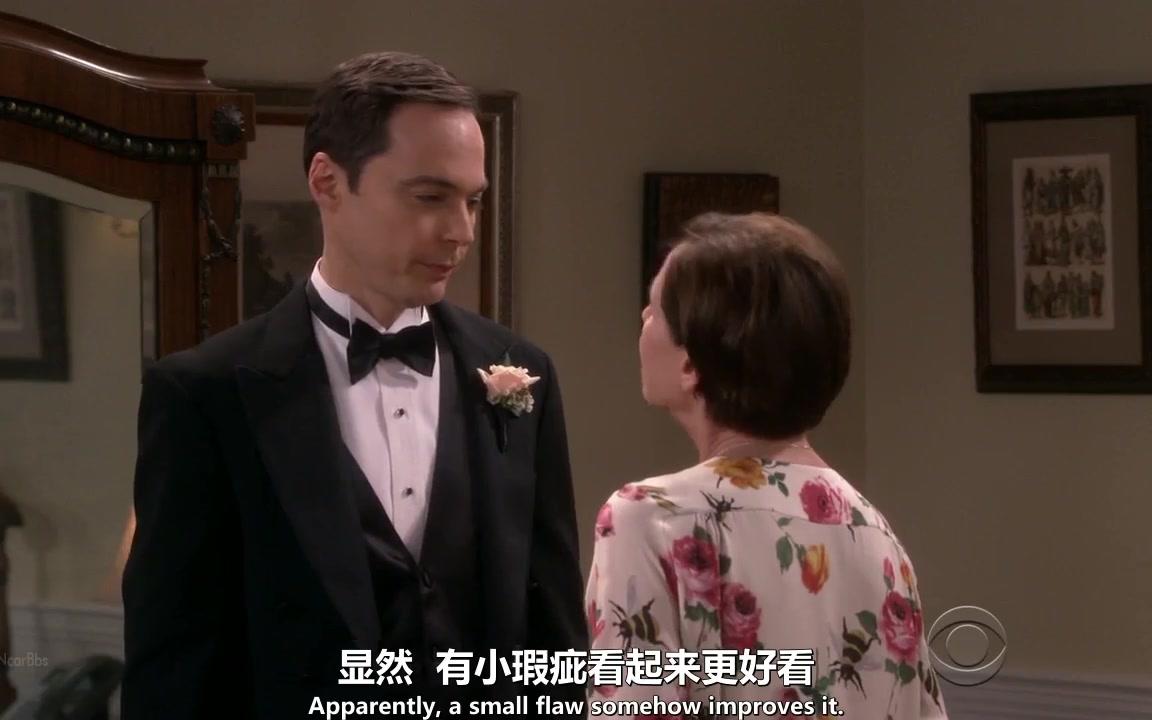 【生活大爆炸/tbbt】谢尔顿&艾米婚礼"我将用我的余生告诉你,我有多爱