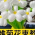 【气球花花】小雏菊花束教程