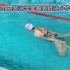 Aimee游泳学堂一周一作业——20201205蛙泳