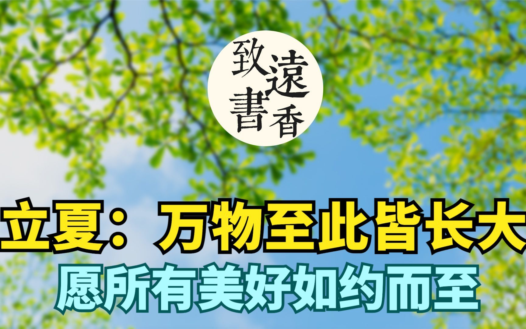 今日立夏:万物至此皆长大,愿所有的美好都如约而至!二十四节气致远书香哔哩哔哩bilibili