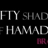 【BH6】Fifty shades of Hamada bros