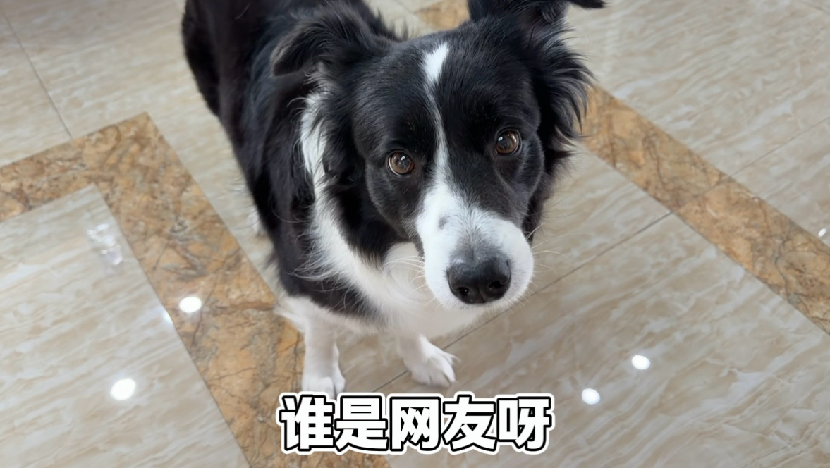 网友是个没听过的词