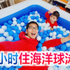 挑战24小时生活在海洋球泳池里，方伟被上幼儿园的儿子坑惨了