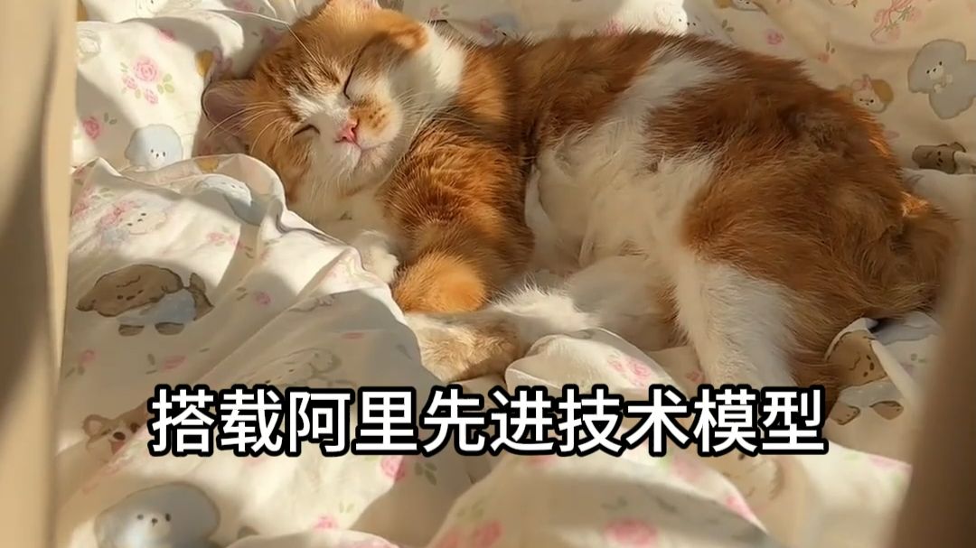 养宠物的宝宝看过来，猫粮怎么选最划算
