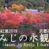 4K60P 红叶 永観堂　京都市　Autumn leaves in Kyoto Eikando temple Kyoto