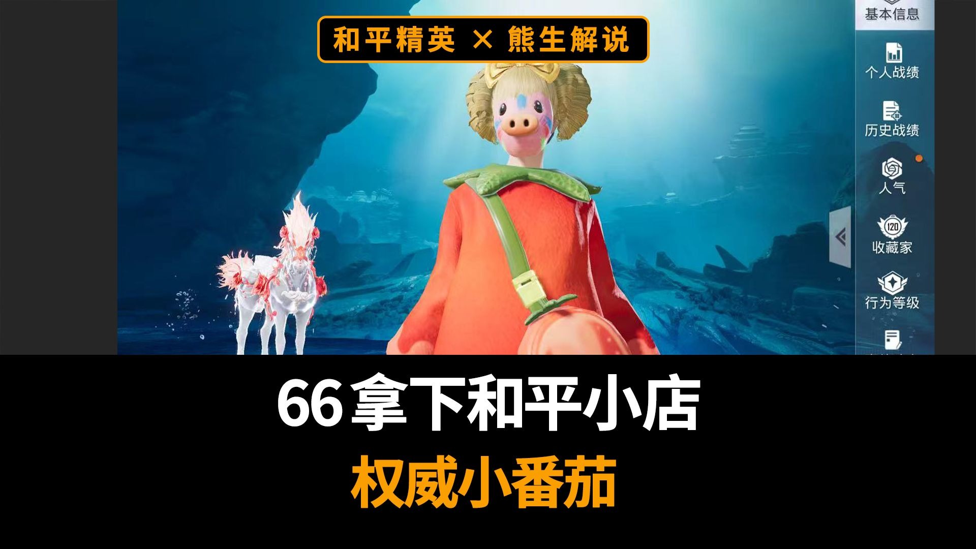 66拿下权威小番茄和豪华手册教学，精打细算天花板