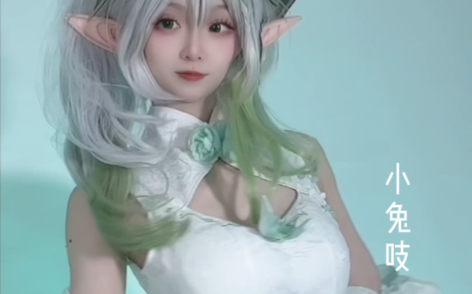 Arenicola brasiliensis (species of lugworm)