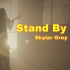 天灰姐斯盖拉格蕾Skylar Grey翻唱《Stand by me/伴我身旁》