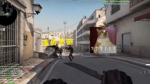 6dd32878da44a5a332a3fc19eee8a55a374b6412.jpg@310w_174h_1c_100q.jpg