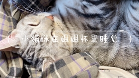 6df46cfeb82200a28bed665f723515f767f3a984.jpg@280w_158h_1c_100q.jpg
