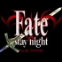 Fate/stay night 全剧情（含全部选项分支、全老虎道场、小剧场、后日谈、隐藏结局）