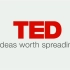 【TED】 解决大量暴乱从局部开始  中字