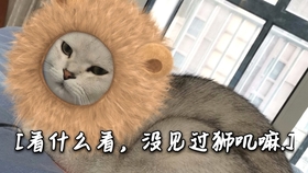 6e0fe10b21d069dea398bb5f3e7cd16154f0420e.jpg@280w_158h_1c_100q.jpg