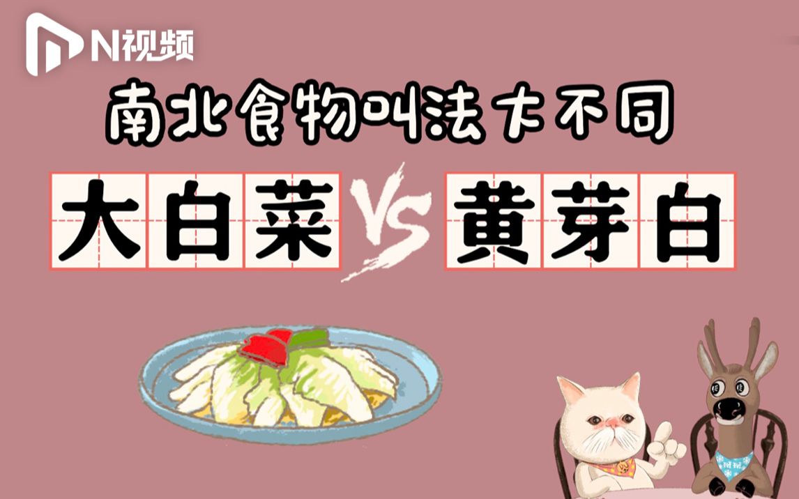 DUDU猫教你讲粤语30：大白菜vs黄芽白