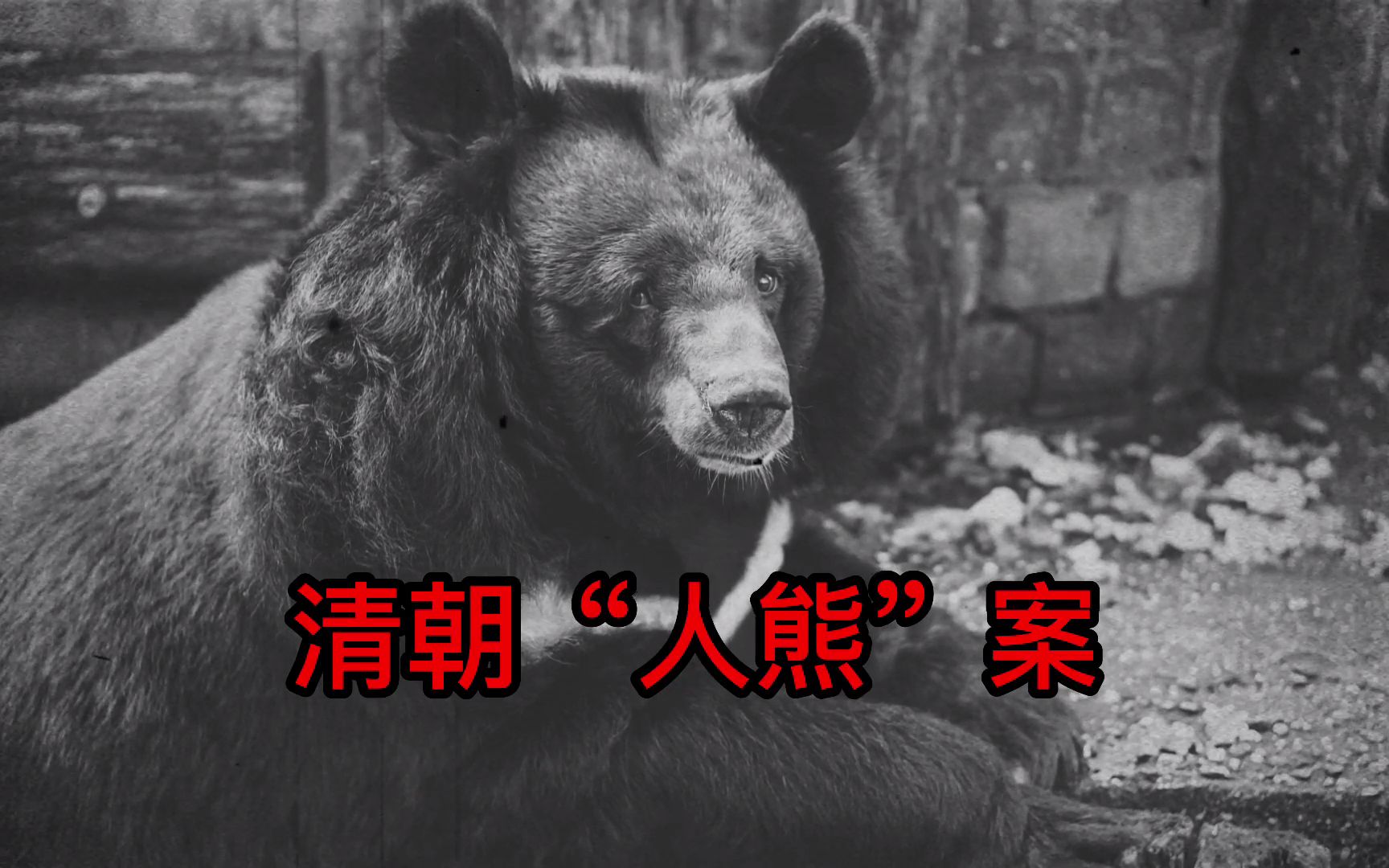 清朝“人熊”案：古代的“采生折割”到底有多残忍？《子不语·狗熊写字》