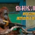 从来没人教过，红毛猩猩就会用人类工具，这智商你给打几分？